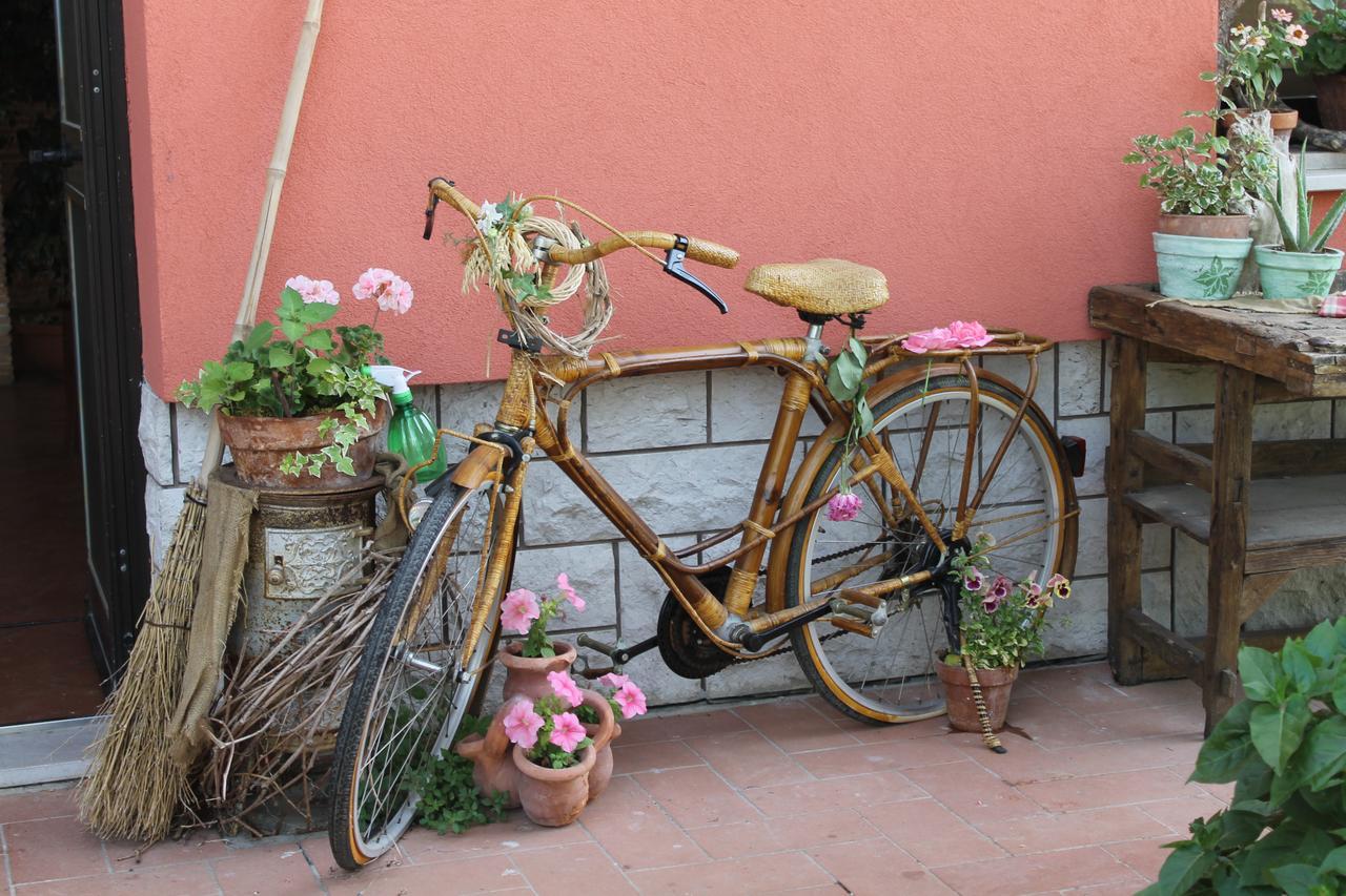 Allegra Fattoria Malchina エクステリア 写真